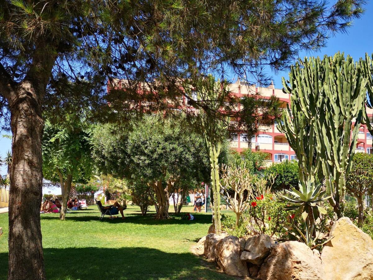 Studio With Terrace And Pool Torrevieja Zewnętrze zdjęcie