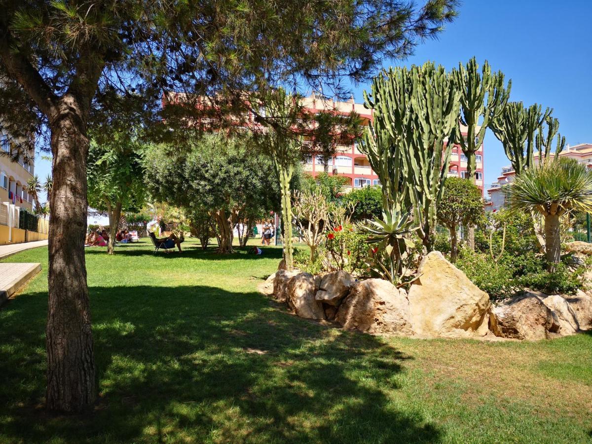 Studio With Terrace And Pool Torrevieja Zewnętrze zdjęcie